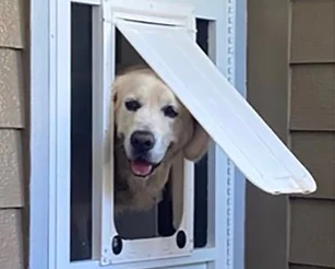 Pet Screen Door