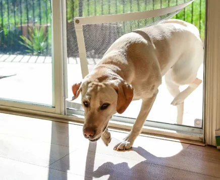 Patio Enclosure Repair Long Island