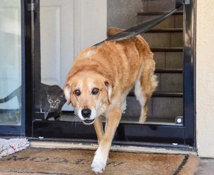 Patio Enclosure Installation Long Island