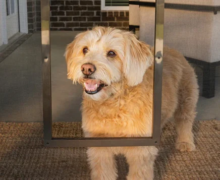 Home Porch Long Island